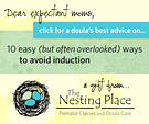 The Nesting Place